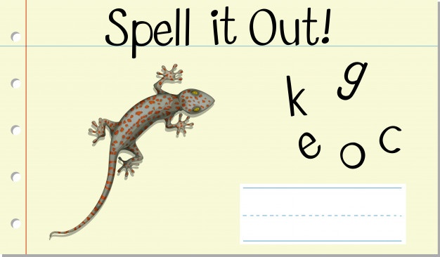 626x366 Gecko Vectors, Photos And Free Download