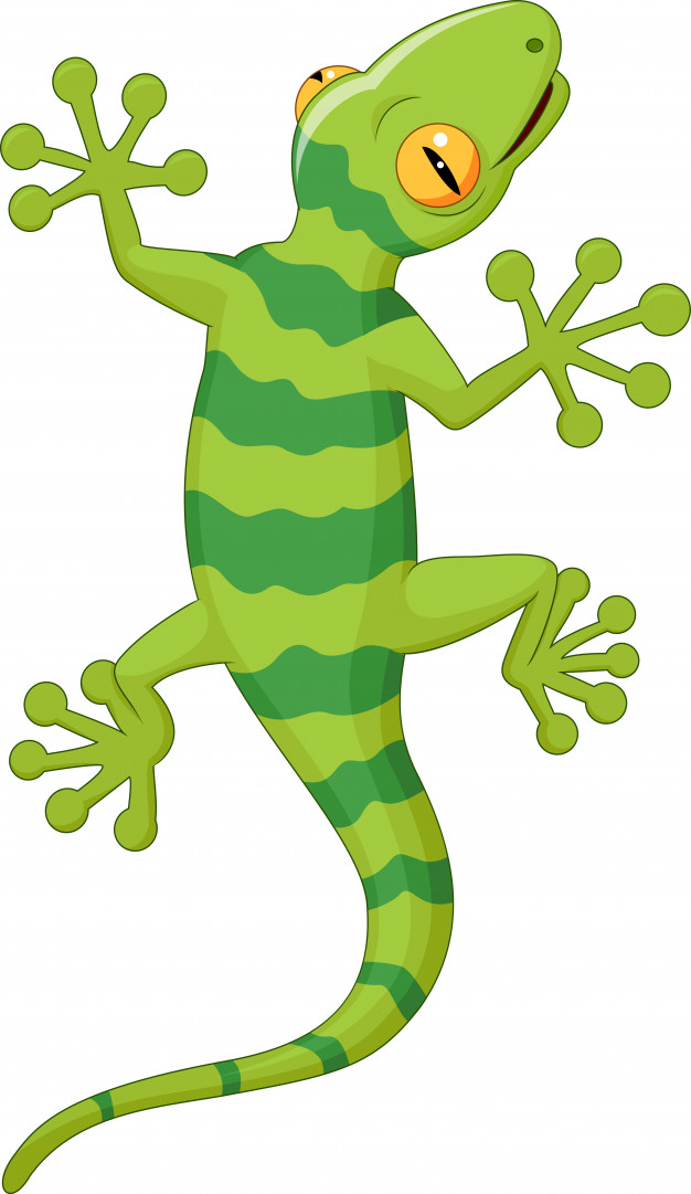 626x1081 Cartoon Gecko Vector Premium Download