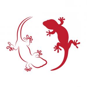 300x300 Image Of An Gecko Vector Createmepink