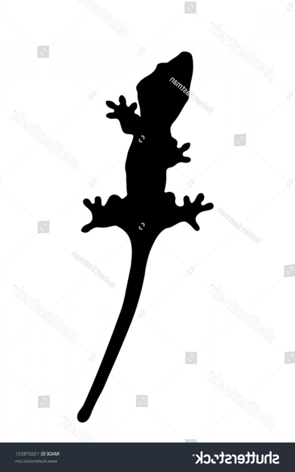 1202x1920 Vector Graphic Outline Crested Gecko Createmepink