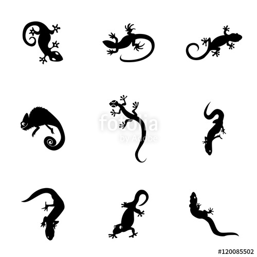 500x500 Gecko Vector Stock Image And Royalty Free Vector On Fotolia