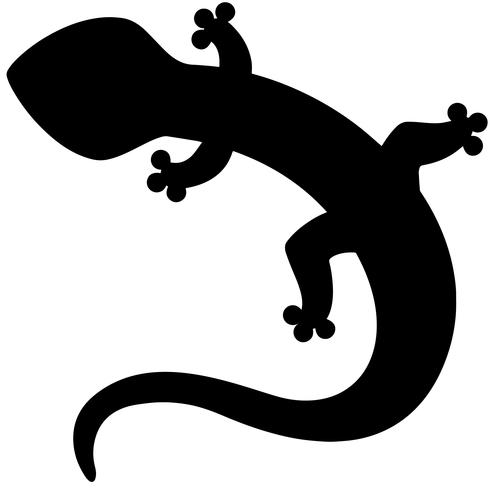 490x490 Gecko Vector