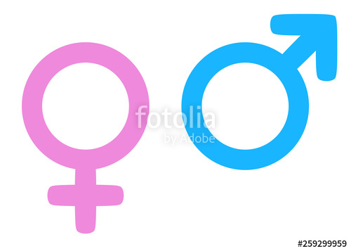 500x357 Color Gender Icon, Man And Woman Symbols, Vector Stock Image