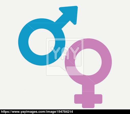 512x448 Gender Gender Icon Vector