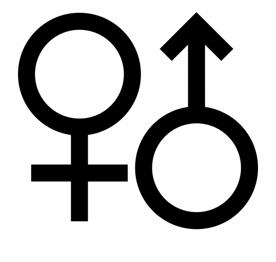 Gender Icon Vector at Vectorified.com | Collection of Gender Icon ...