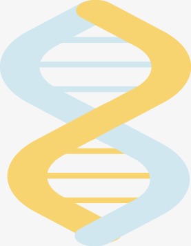 277x356 Flat Gene Vector, Vector, Flat, Gene Png And Vector For Free Download