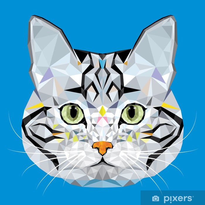 700x700 American Short Hair Cat Vector Polygon Geometric Poster Pixers