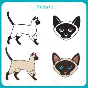 300x300 Photostock Vector Abstract Geometric Polygonal Siamese Cat Vector