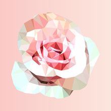 Polygonal Pink Rose, Poly Low Triangle Flower, Vector Geometric 220x220 Polygonal Pink Rose, Poly Low Triangle Flower, Vector Geometric