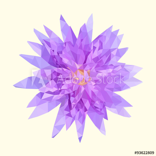 Polygonal Purple Lotus, Polygon Geometric Flower, Vector Illustr 500x500 Polygonal Purple Lotus, Polygon Geometric Flower, Vector Illustr