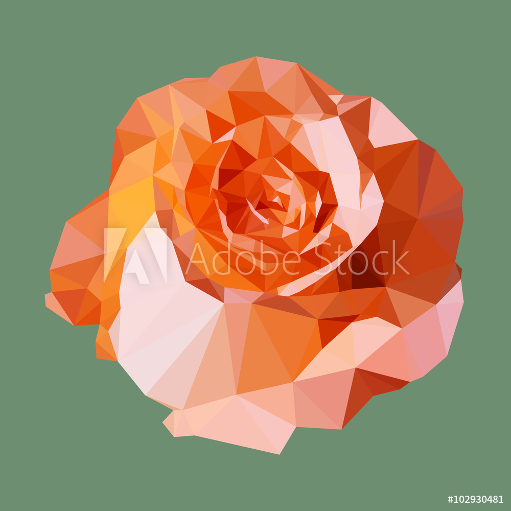 Fotografie, Obraz Polygonal Orange Rose, Polygon Geometric Flower 1000x1000 Fotografie, Obraz Polygonal Orange Rose, Polygon Geometric Flower