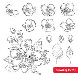 Geometric Flower Based On The Simple Shapes Gm Soidergi 300x300 Geometric Flower Based On The Simple Shapes Gm Soidergi
