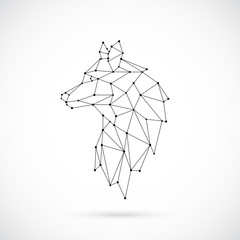 240x240 Fox Vector Geometric Photos, Royalty Free Images, Graphics