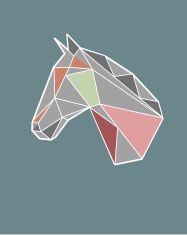 187x235 Geometric Horse Vector Art Illustration Inspiration