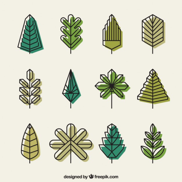 626x626 Geometric Green Leaves Vector Free Download