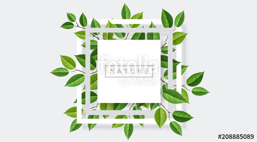 500x277 Geometric Nature Frame With Tree Branches And Leaves Vector