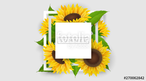 500x277 Minimal Geometric Frame With Yellow Sunflower And Leaf Vector