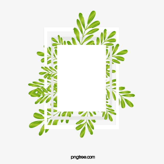 640x640 Vector Elements Of Geometric Natural Frame For Fresh And Light