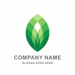 240x240 Geometric Leaf Cosmetic Aromatherapy Fashion Beauty Skincare