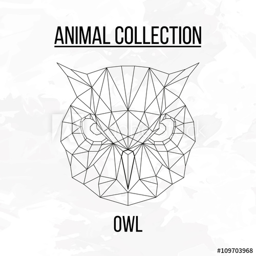 500x500 Geometric Owl Head