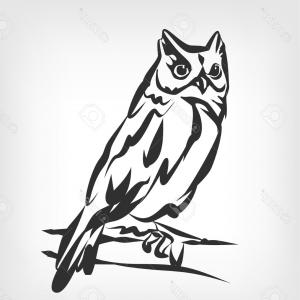 300x300 Black Owl Geometric Black Line Illustration Gm Cultracing