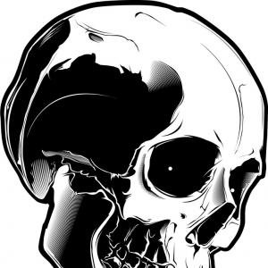 Geometric Style Skull Head Ilustration Vector Hoodamathrun 300x300 Geometric Style Skull Head Ilustration Vector Hoodamathrun
