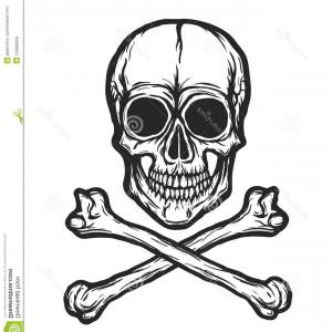 300x300 Human Skull Vector Human Skull Bones Vector Silhouette Isolated