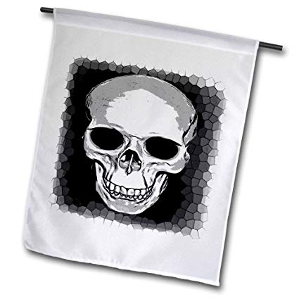 Taiche 425x425 Taiche