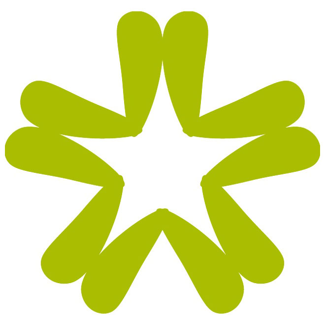 660x660 Geometric Five Point Vector Star