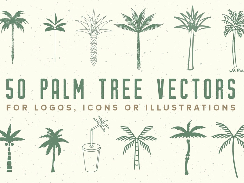 Geometric Tree Vector