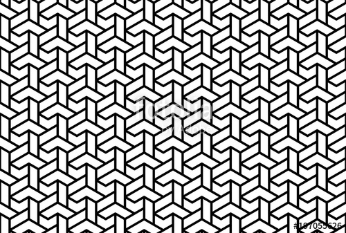 Geometric Vector Pattern With Black And White Lines Geometric 500x337 Geometric Vector Pattern With Black And White Lines Geometric
