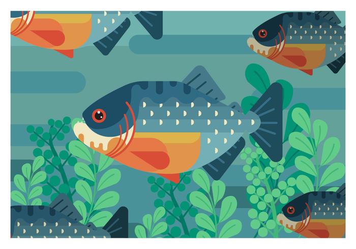 Piranha Flat Geometric Vector Illustration 700x490 Piranha Flat Geometric Vector Illustration