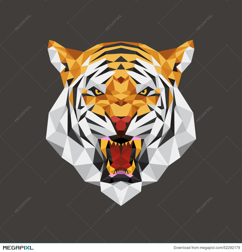 Tiger Head Polygon Geometric, Vector Illustration Illustration 800x830 Tiger Head Polygon Geometric, Vector Illustration Illustration