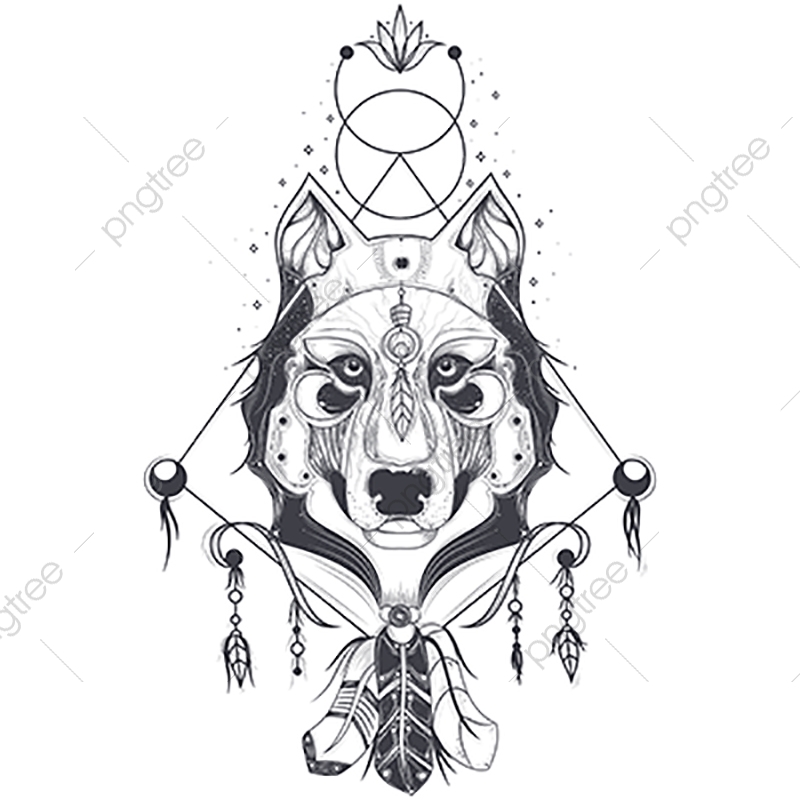 800x800 Vector Illustration Of A Front Of A Wolf Head Geometric Sk, Wolf