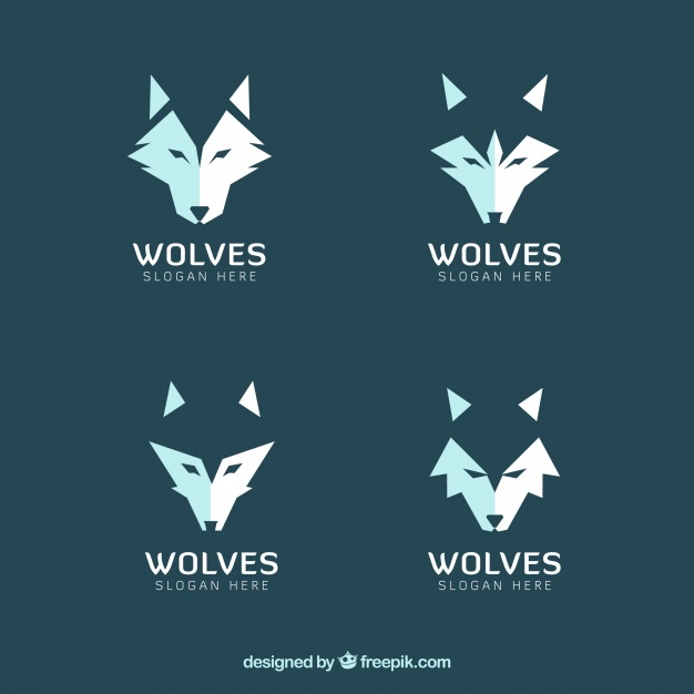 626x626 Wolf Vectors, Photos And Free Download