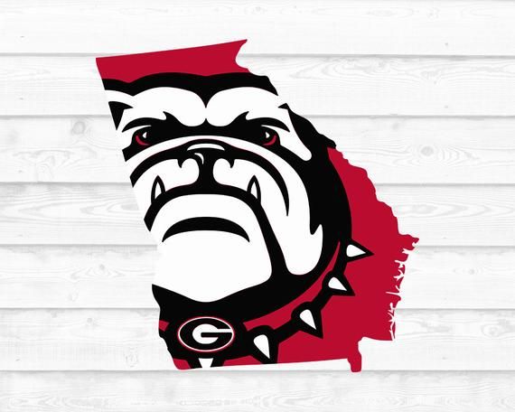 Georgia Bulldog Vector at Vectorified.com | Collection of Georgia