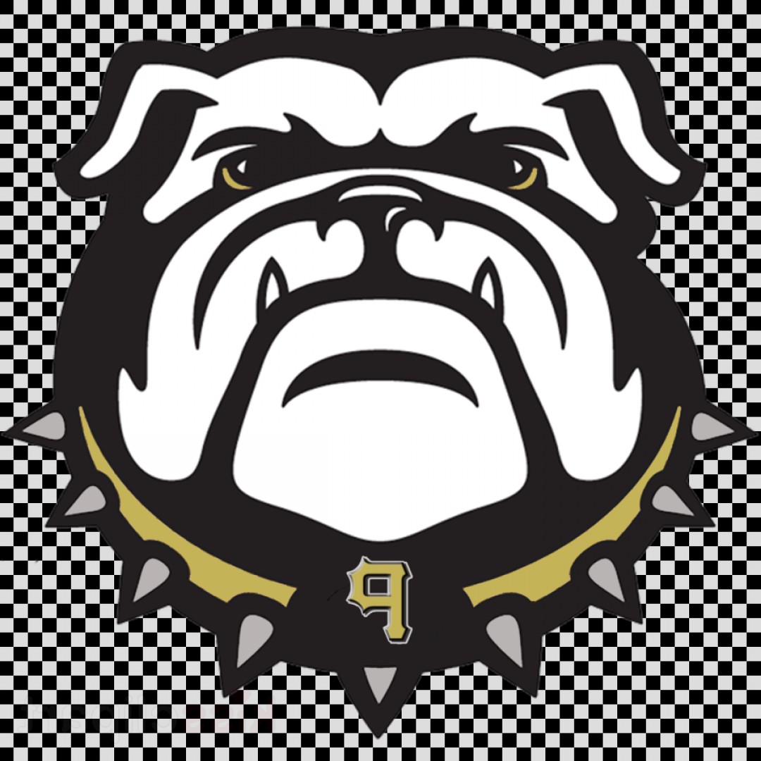 1080x1080 Georgia Basketball Vector Studiogrfx