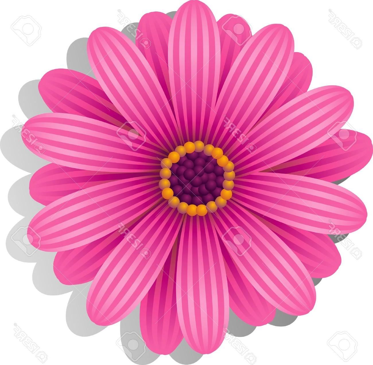 Best Free Pink Gerber Daisy Clip Art Vector Library Free Vector 1300x1273 Best Free Pink Gerber Daisy Clip Art Vector Library Free Vector