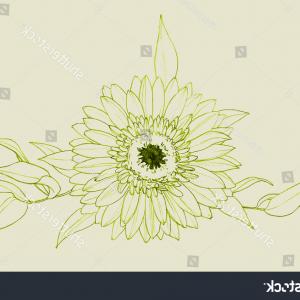 Red Orange Gerbera Gerber Daisies Black Catchsplace 300x300 Red Orange Gerbera Gerber Daisies Black Catchsplace