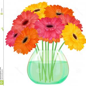 Gerber Daisy Vector at Vectorified.com | Collection of Gerber Daisy ...