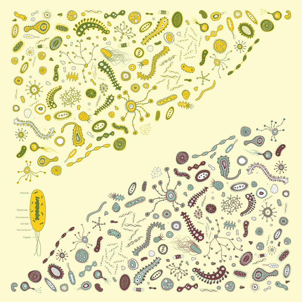 1024x1024 Germs Vector Art Graphics