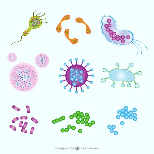 626x626 Germs Vectors, Photos And Free Download