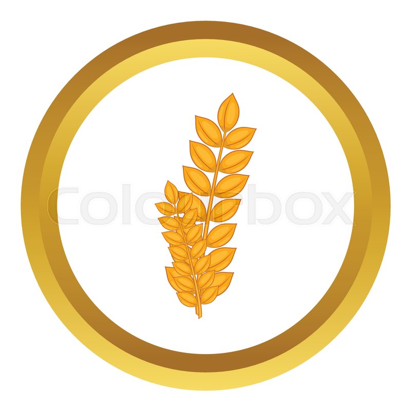 800x800 Wheat Germ Vector Icon In Golden Stock Vector Colourbox