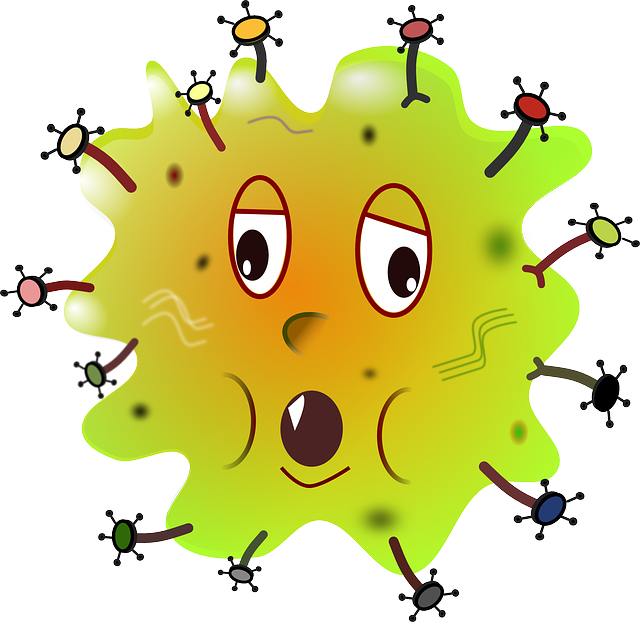 640x622 Download Free Png Germ Bacteria Infection Free Vector Graphic