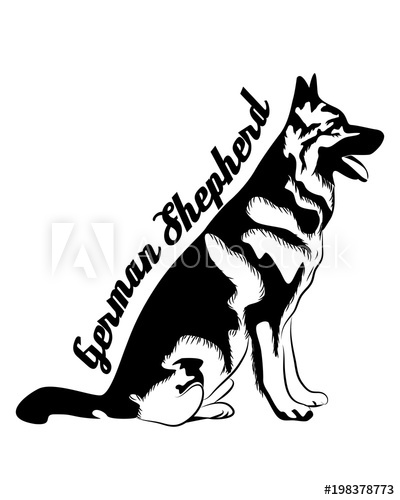 400x500 German Shepherd Line Art, Silhouette, Tribal Typography Freehand