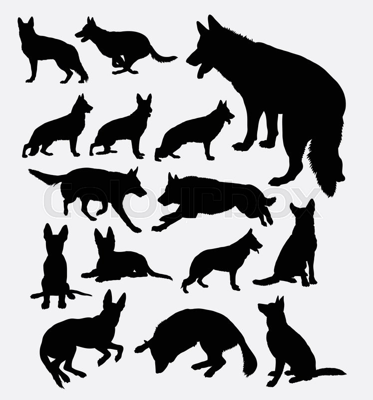 747x800 German Shepherd Pet Dog Silhouette Stock Vector Colourbox