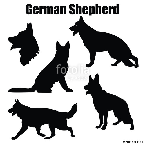 500x500 Vector Illustration Of German Shepherd Dog In Different Poses