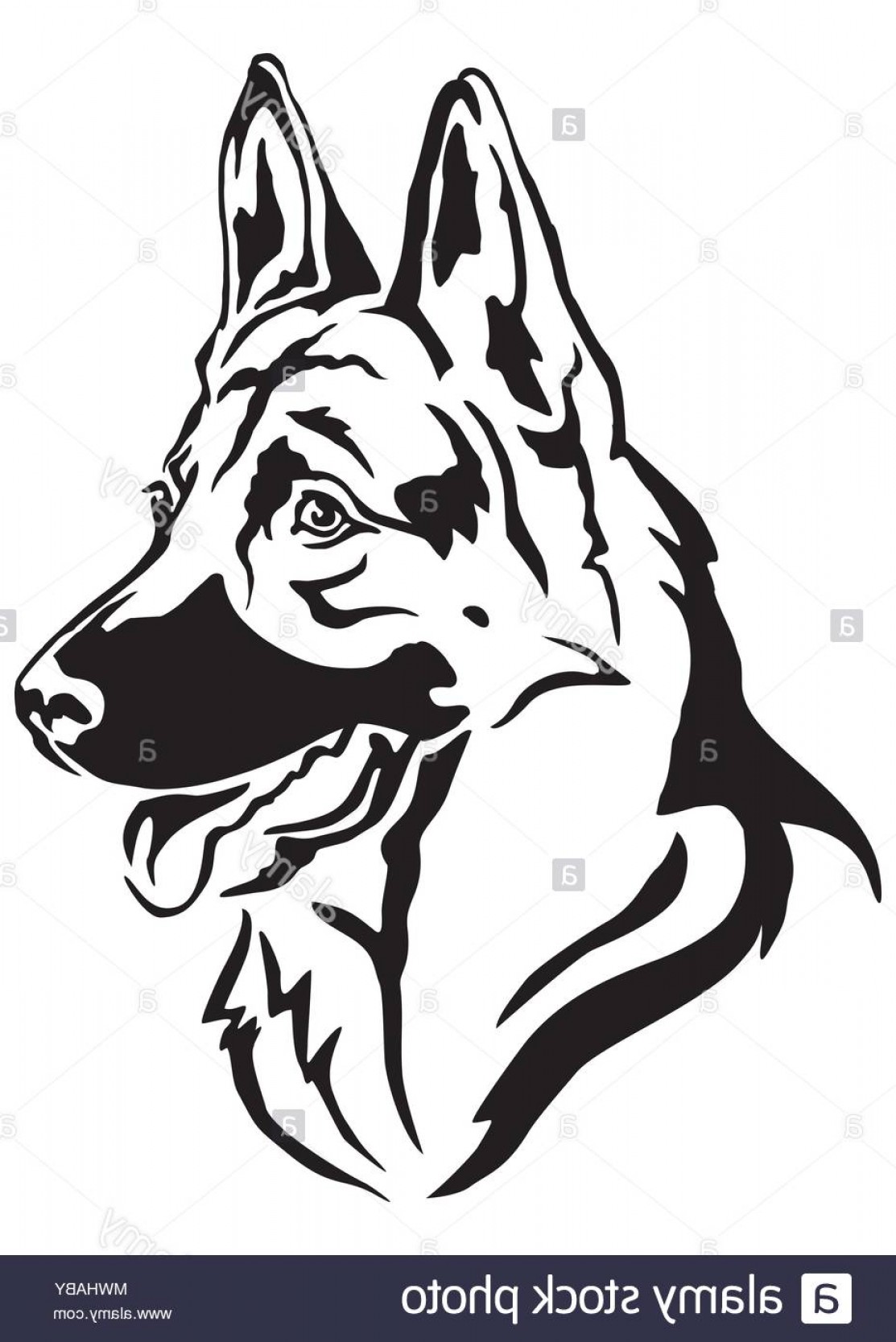 German Shepherd Vector Art Lamaison 1113x1668 German Shepherd Vector Art Lamaison
