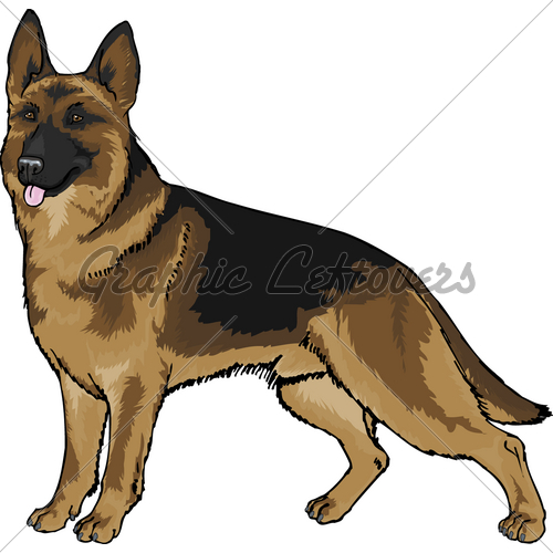 German Shepherd Gl Stock Images 500x500 German Shepherd Gl Stock Images