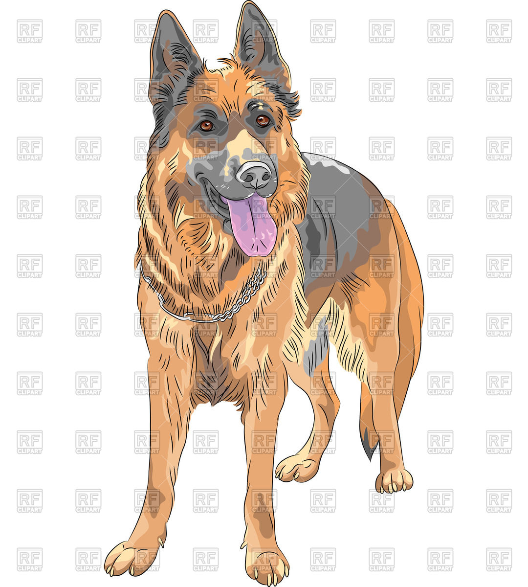 Portrait Of A Dog 1080x1200 Portrait Of A Dog